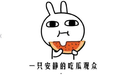 吃瓜意思